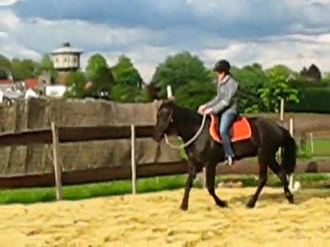 Ulys trot piste 2 mai