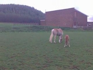 29 éme jours de vie de spirit