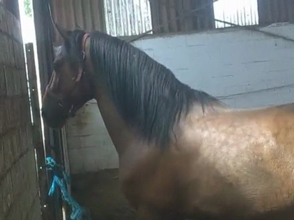 journée repos bien méritée pour balou