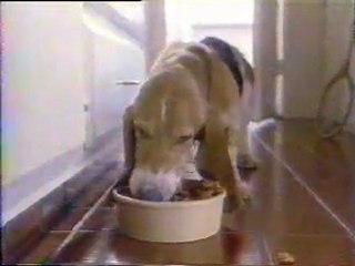 Ken-L-Ration Love-Me-Tender Chunks