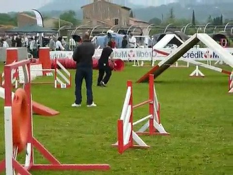 Aster - Open Aubagne