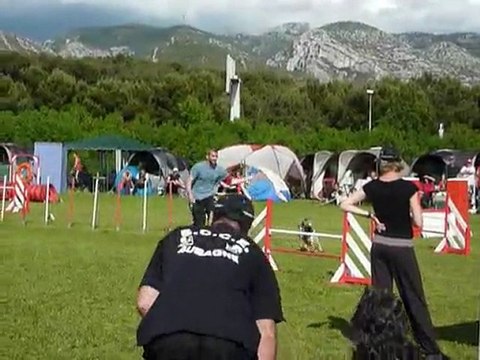 Brownie - Jumping Aubagne