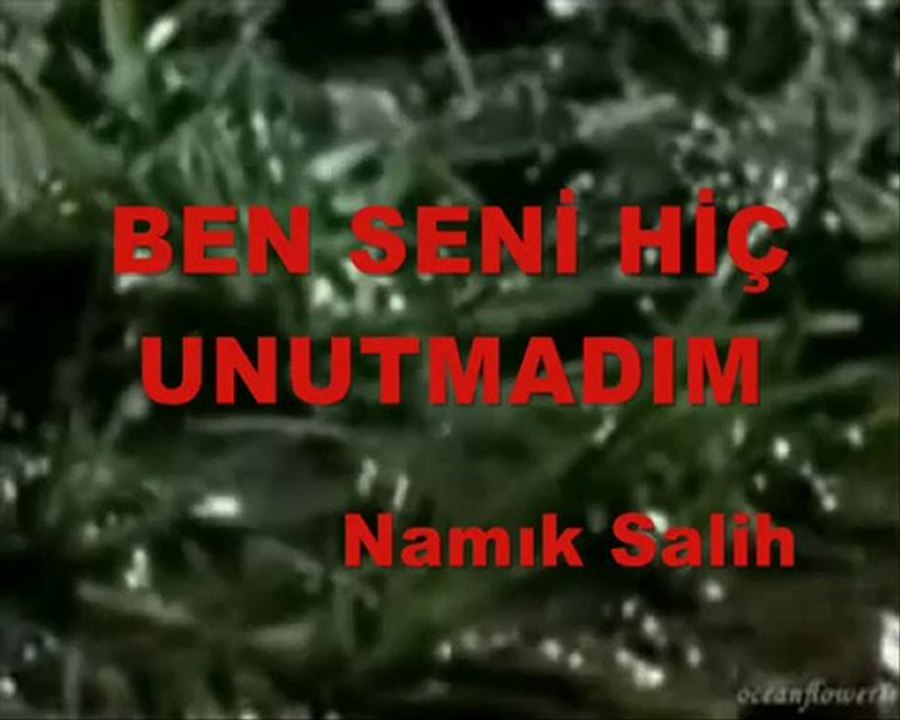 BEN SENİ HİÇ UNUTMADIM