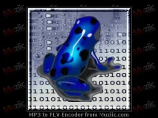 Glenn Morrison - Satellite