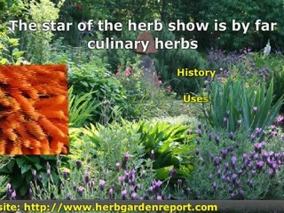 Inspiration For Starting Your Home Herb Garden