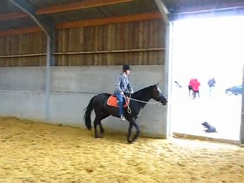 Ulys trot piste 2 mai
