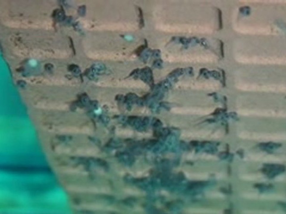 20100428102529