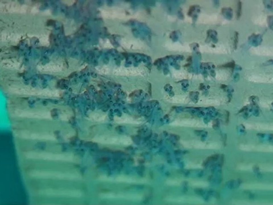 20100427113000