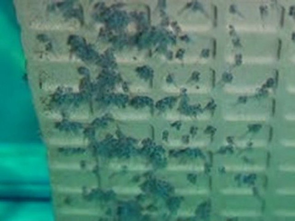 20100427112859