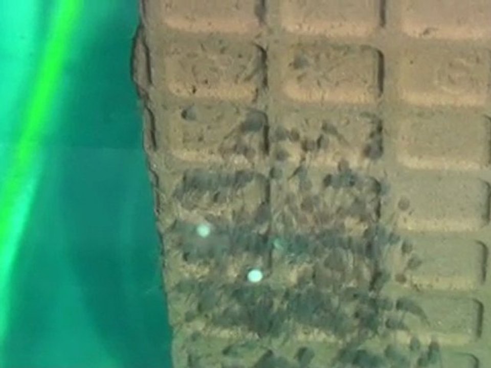 20100425102813