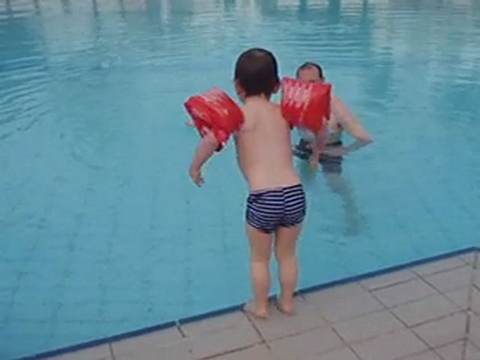 P4262108 plongeon