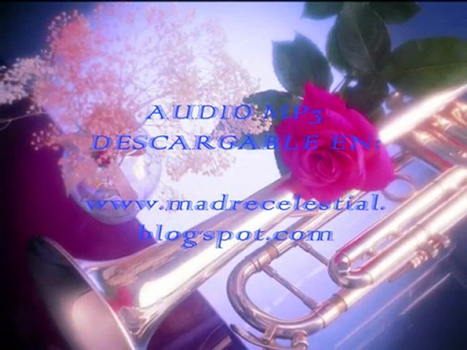 BUENOS DIAS PALOMA BLANCA