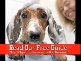 Calgary Dog Groomers - How to Choose a Groomer