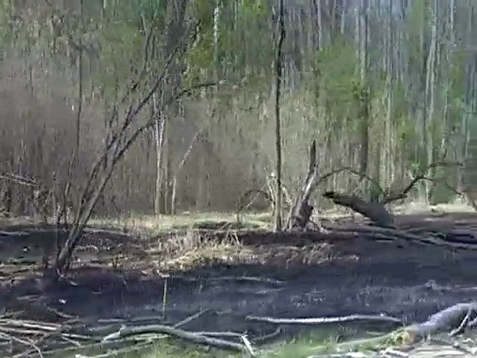 Check This Fire Out! We Need More Unity! {Aftermath}