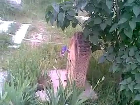 İstanbul, İzmir, Ayvalık, Çeşme, Foça, Kuşadası, Selçuk, Efes, Bergama İngilizce-Norvecce Profesyonel Kokartlı Turist Rehberi, Sinan Tortum ( Tel. 0090.539.2240093) Visitn the grave of my brother in Mardin