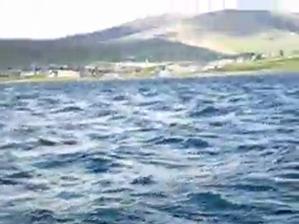 Hello sweet Fungi! Dingle with Sandrine 1st May 2010