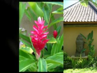 Mia Villa - Bali Rental - Tropical Gardens Video