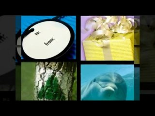 Online Graduation Invitations