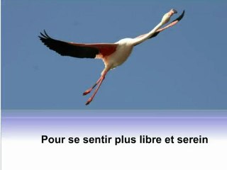 Conference pour les particuliers : Cohérence Cardiaque