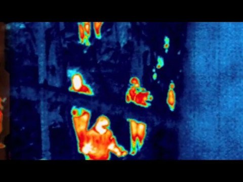 PREDATORS BANDE ANNONCE VF