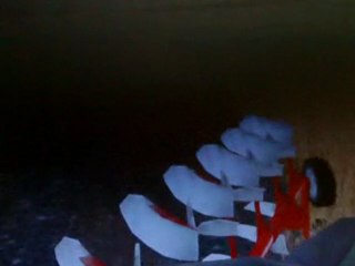 Farming simulator 2009