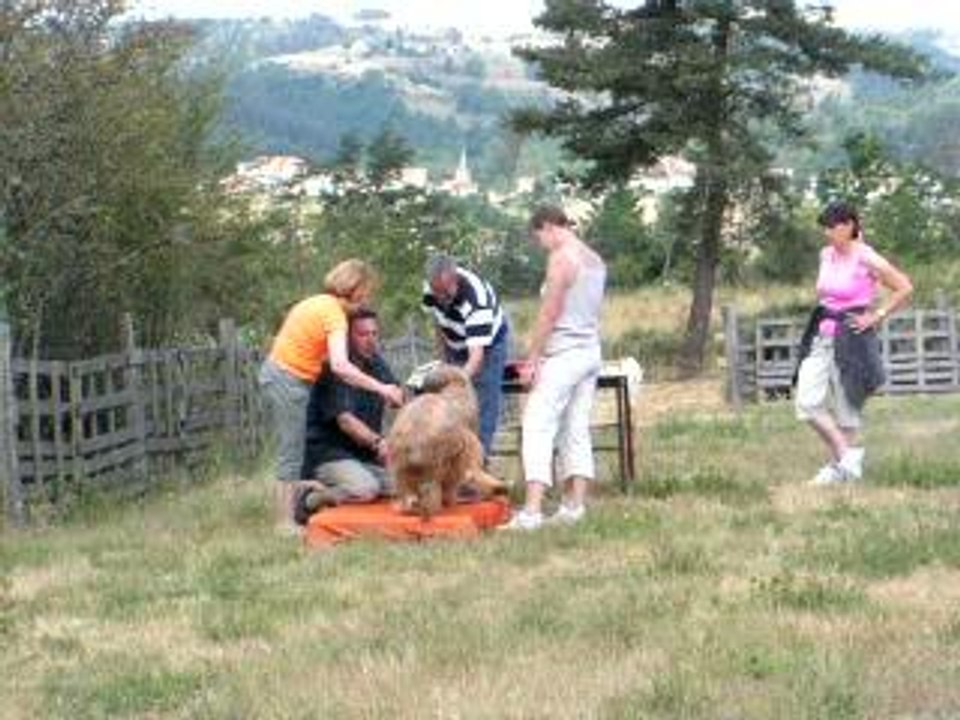 athos25juin03