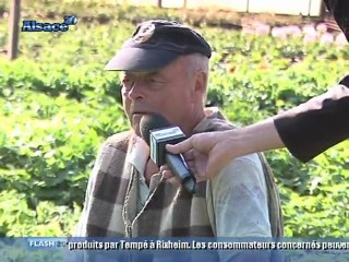 Ferme Andrès : le seul muguet bio d'Alsace !