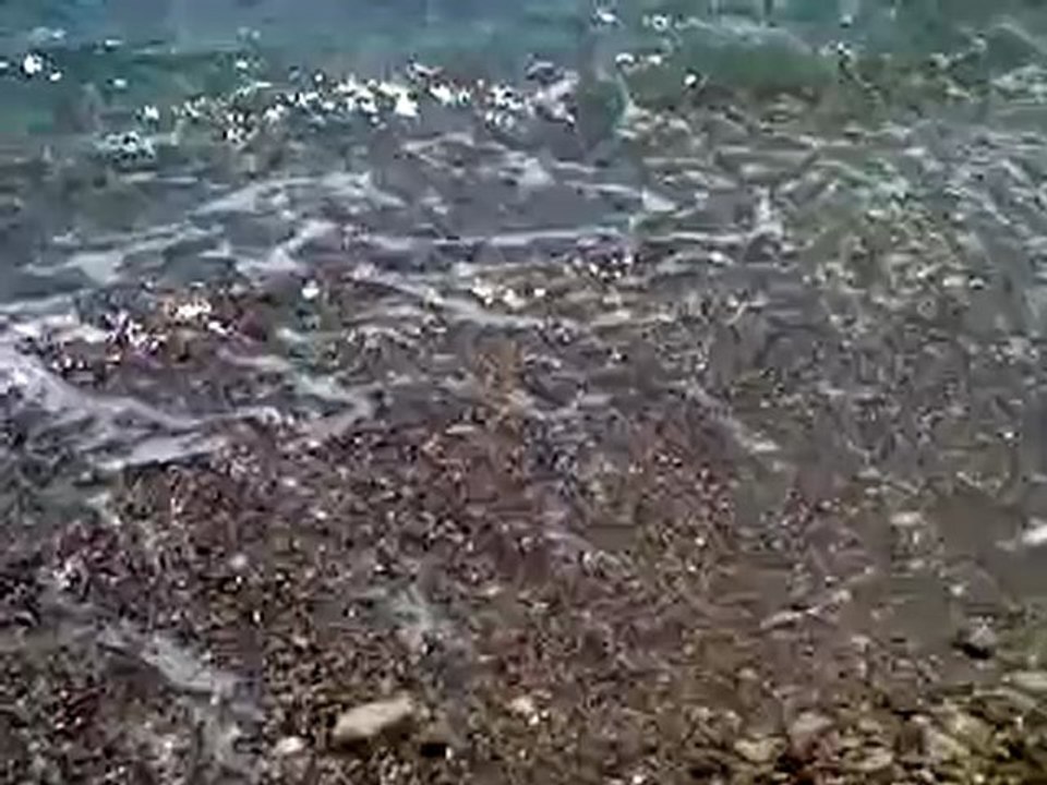 MOV017