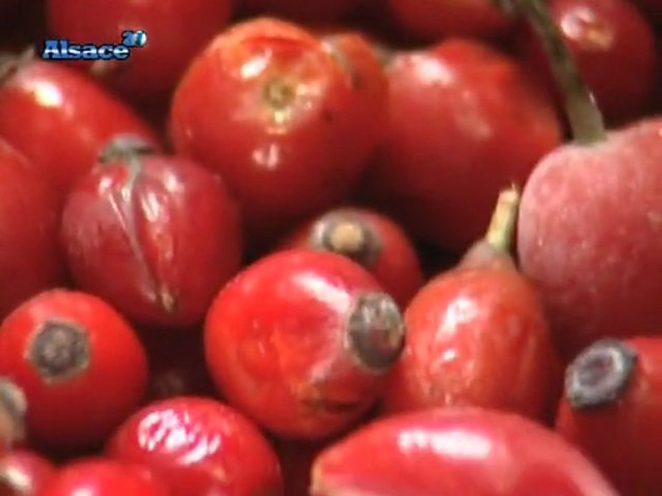 Zoom sur les confitures Beyet (Alsace)