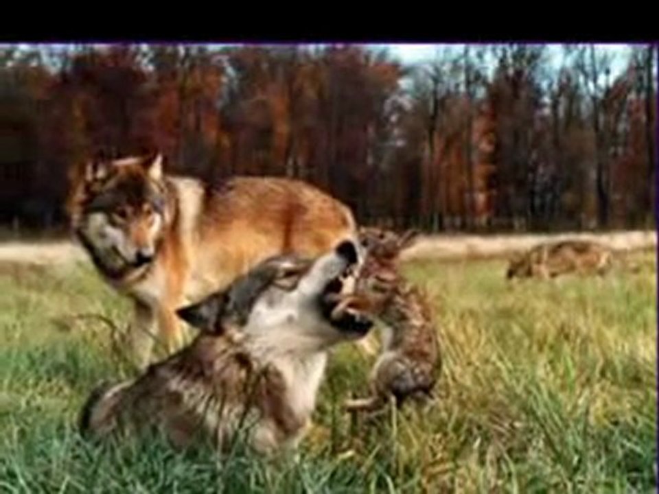 Somewhere - in memory