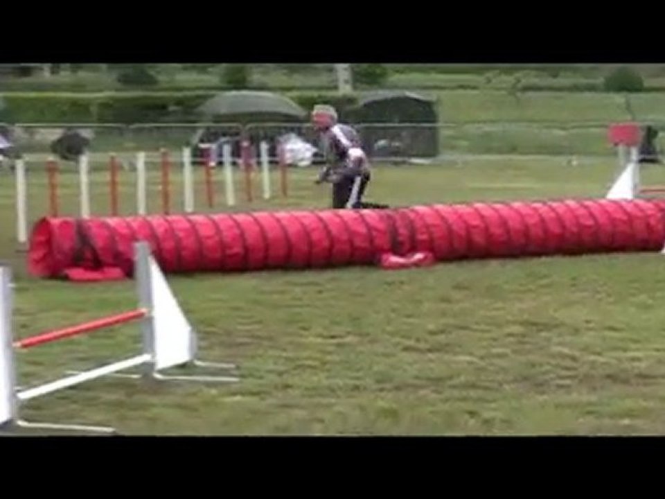 Union ChpReg 3ème degré Agility Manche 2 Annonay 02/05/2010