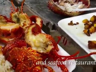 Sailboat charter with Casa La Fe - Cartagena Colombia