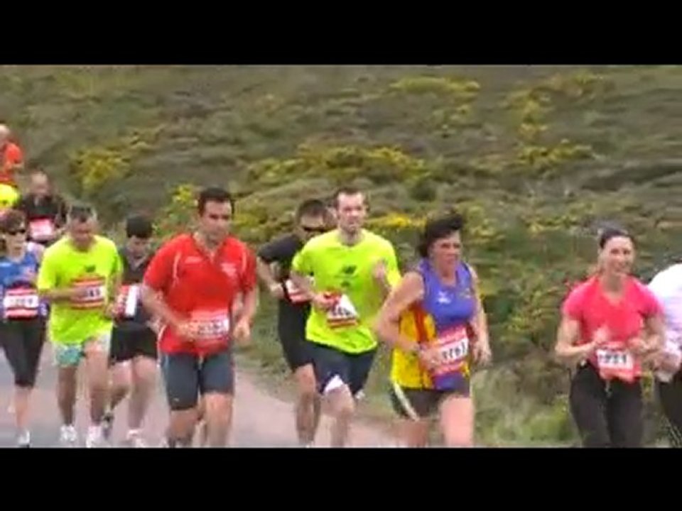 Landes et Bruyères - Erquy - 2010