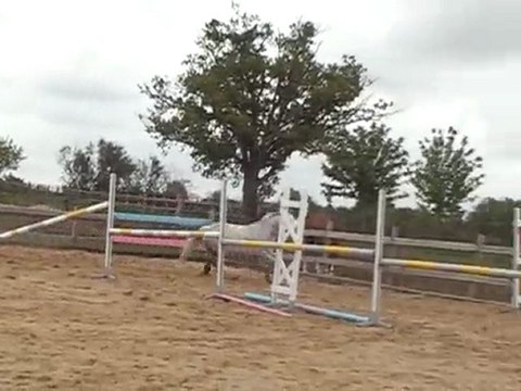 qartoone saut en liberté 3 mai 2010 (5)