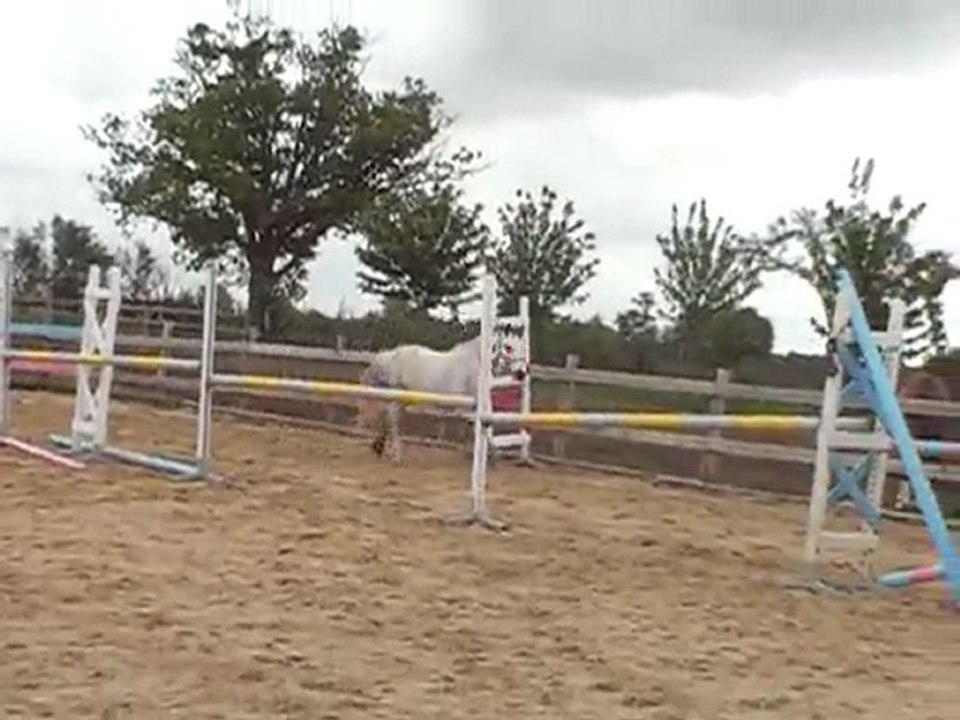 qartoone saut en liberté 3 mai 2010 (3)