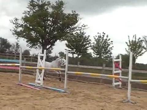 qartoone saut en liberté 3 mai 2010 (1)