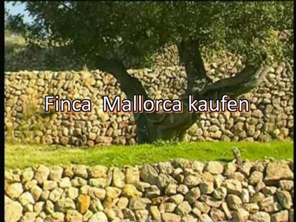 Finca  Mallorca kaufen, Sie haben Lust auf eine eigene Finca