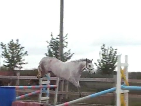 qartoone saut en liberté 3 mai 2010