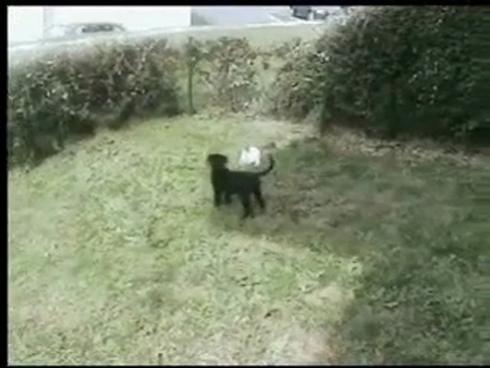 nostalgie!!et fou rire!!!