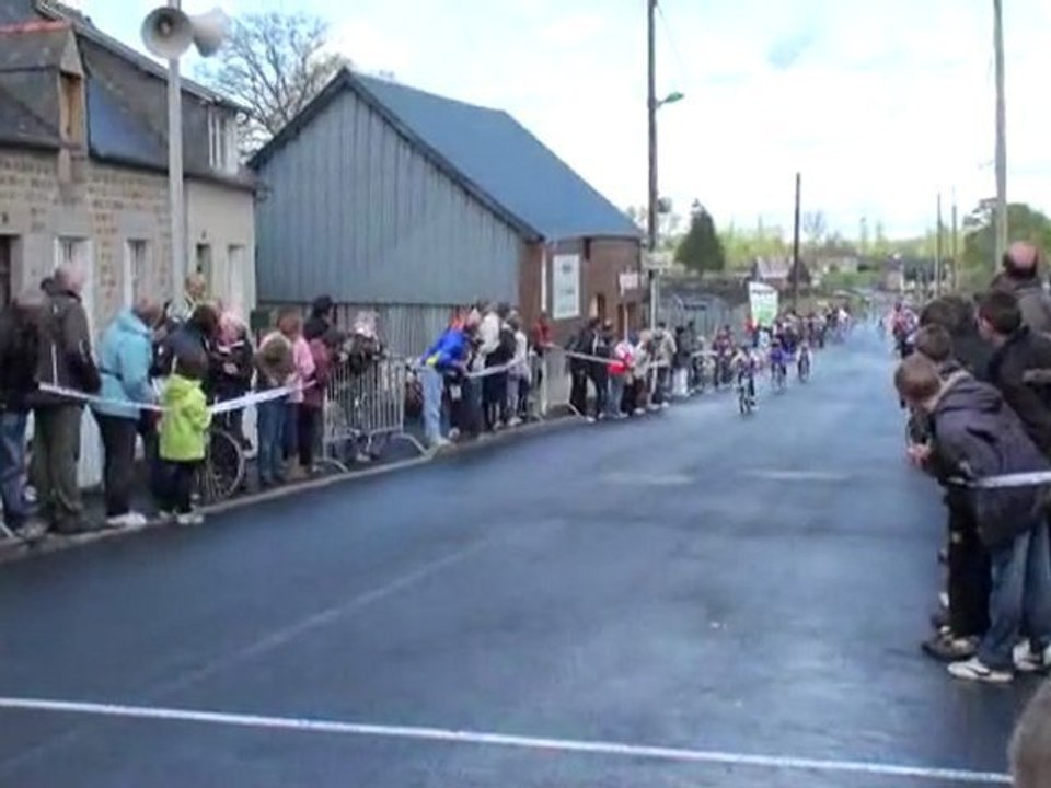 arrivée des poussins