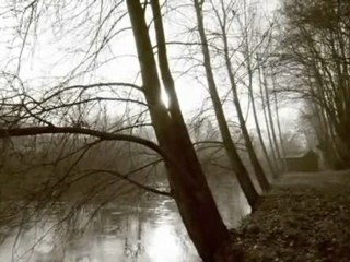 "CARNET D'UN MATIN D'HIVER" - © Stéphane ALLAMAN - Phographe