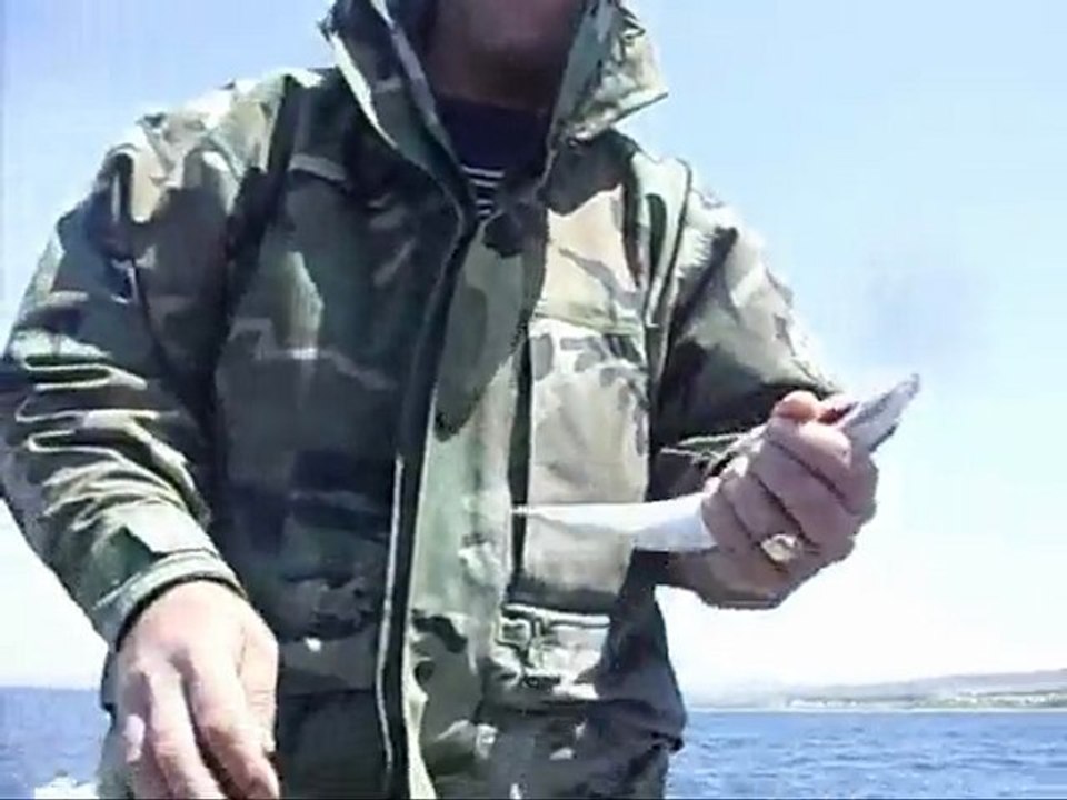 sırtı avımız 02.05.2010