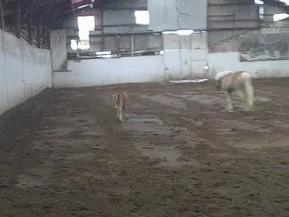 30 éme jours de vie de spirit