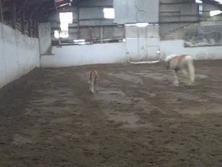 30 éme jours de vie de spirit