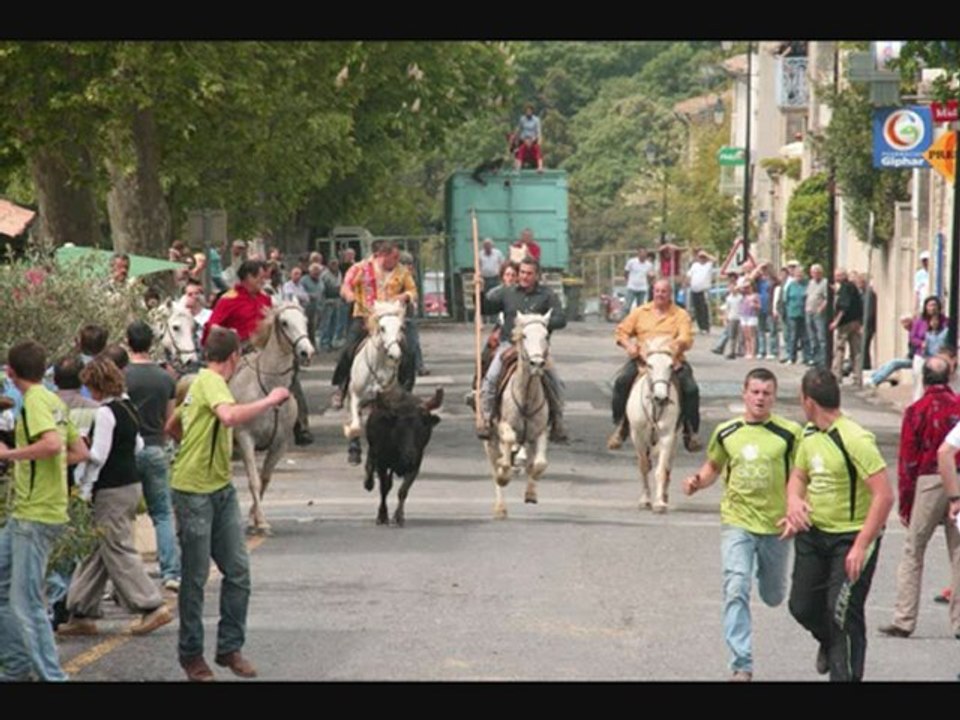 manade lou pitchoun aubais