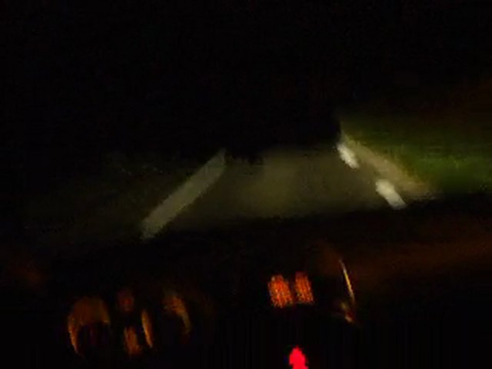 delphine sur la route