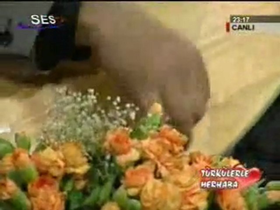sevmeyi sen alıştırdın..