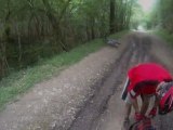 Sortie VTT sur le Massif Forestier de Mervent (Vendée)