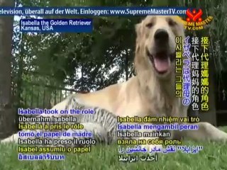 Shining World Compassion Award: The Love of Jazzy