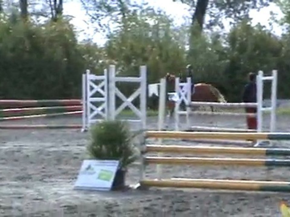 ilton-1